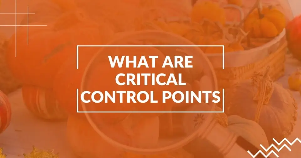 What are critical control points