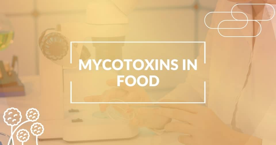 Mycotoxins in food detection and control