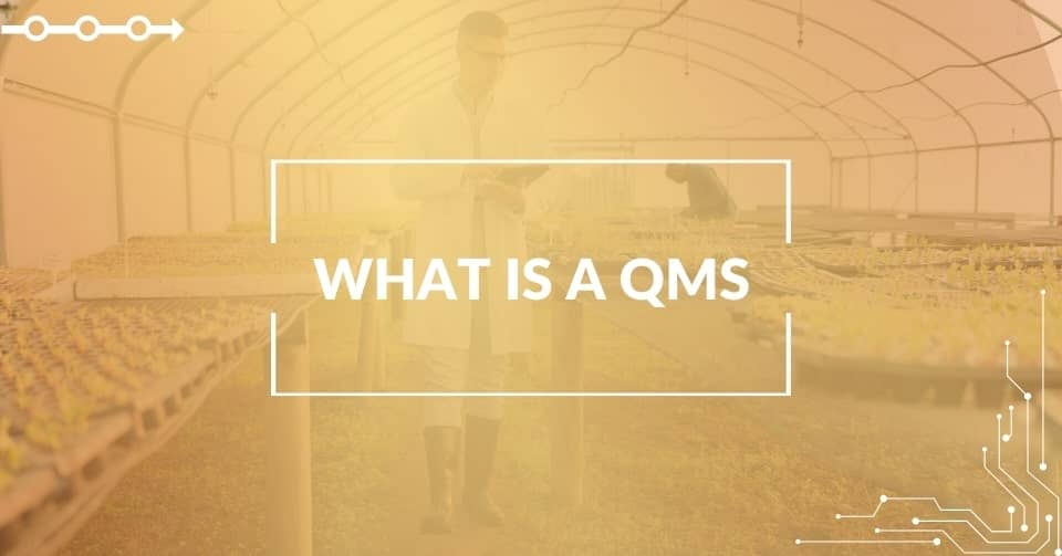 What is a Quality Management System (QMS)